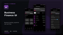 business-finance-ui-project-feature