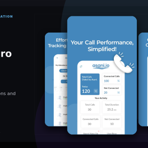 asani-pro-project-feature